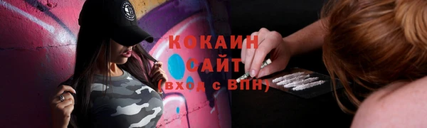 мдпв Вязьма