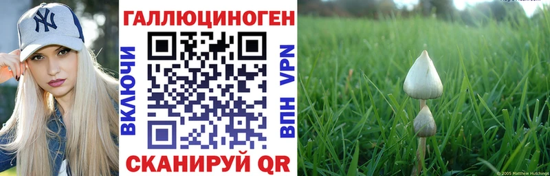 Псилоцибиновые грибы прущие грибы  МЕГА   маркетплейс какой сайт  Онега 